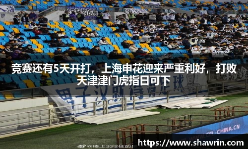 正品体育数据